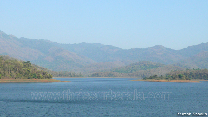 chimmini-dam-thrissur (2)